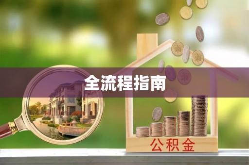 洛龙全流程指南