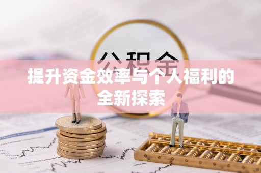 洛龙提升资金效率与个人福利的全新探索