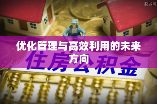 洛龙优化管理与高效利用的未来方向