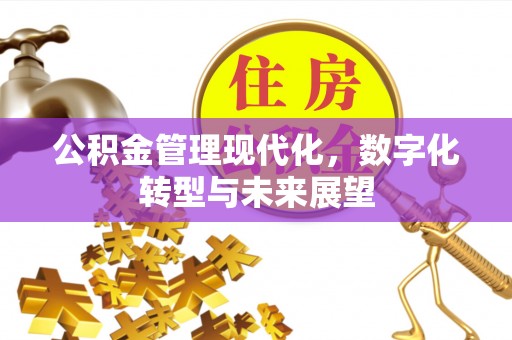 洛龙公积金管理现代化，数字化转型与未来展望