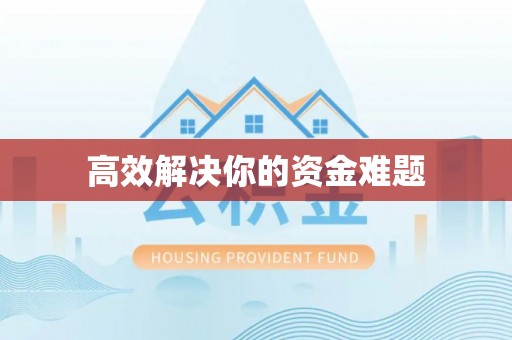 洛龙高效解决你的资金难题