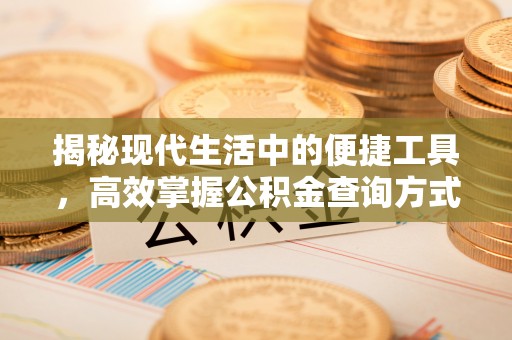 洛龙揭秘现代生活中的便捷工具，高效掌握公积金查询方式