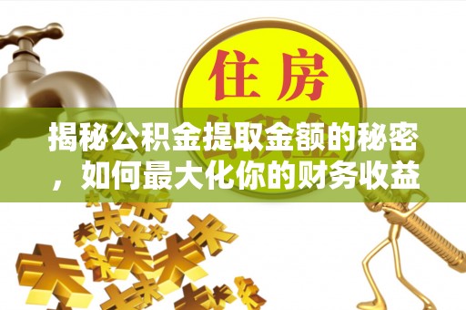 洛龙揭秘公积金提取金额的秘密，如何最大化你的财务收益