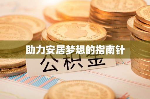 洛龙助力安居梦想的指南针