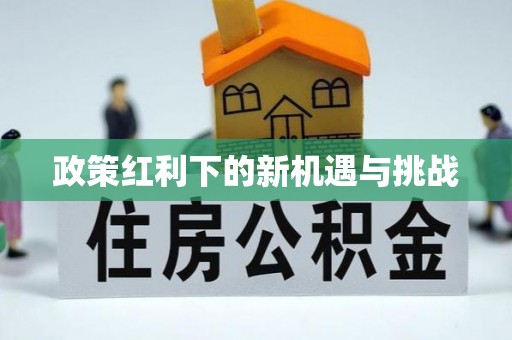 洛龙政策红利下的新机遇与挑战