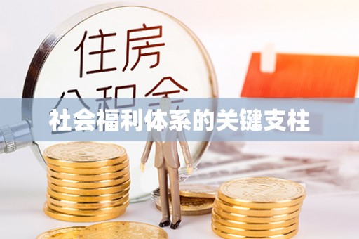 洛龙社会福利体系的关键支柱