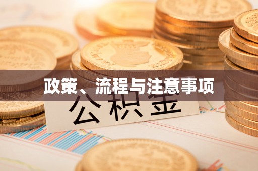 洛龙政策、流程与注意事项