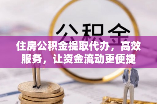 洛龙住房公积金提取代办，高效服务，让资金流动更便捷