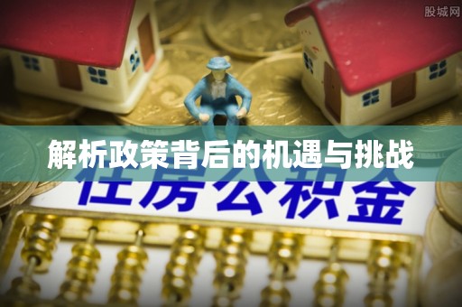 洛龙解析政策背后的机遇与挑战