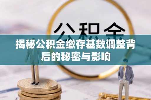 洛龙揭秘公积金缴存基数调整背后的秘密与影响