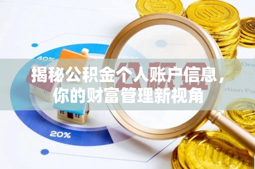 洛龙揭秘公积金个人账户信息，你的财富管理新视角