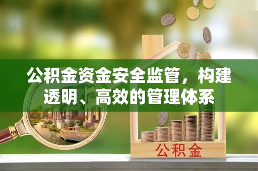 洛龙公积金资金安全监管，构建透明、高效的管理体系
