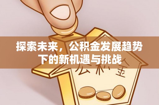 洛龙探索未来，公积金发展趋势下的新机遇与挑战
