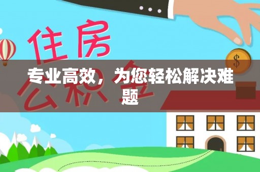 洛龙专业高效，为您轻松解决难题