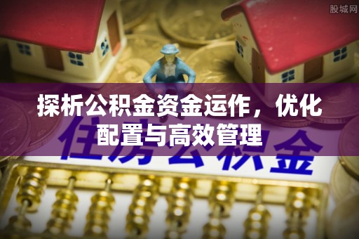 洛龙探析公积金资金运作，优化配置与高效管理