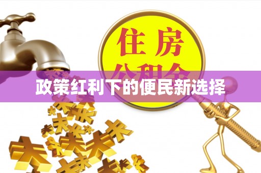 洛龙政策红利下的便民新选择