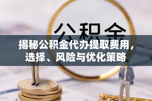 洛龙揭秘公积金代办提取费用，选择、风险与优化策略