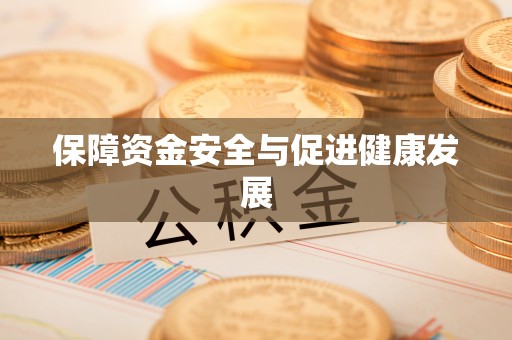 洛龙保障资金安全与促进健康发展