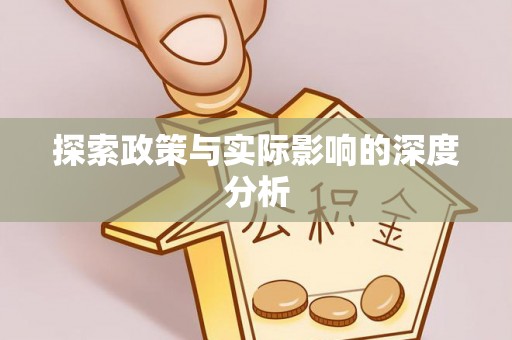 洛龙探索政策与实际影响的深度分析