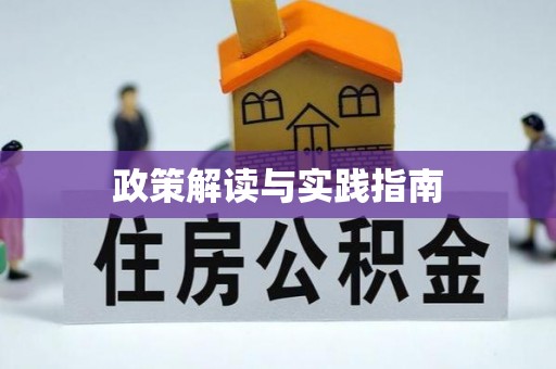 洛龙政策解读与实践指南
