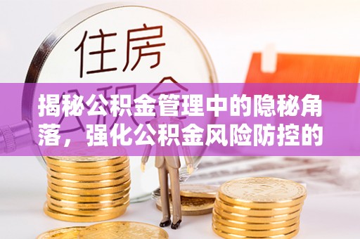 洛龙揭秘公积金管理中的隐秘角落，强化公积金风险防控的必要性与路径