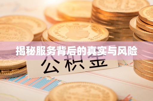 洛龙揭秘服务背后的真实与风险