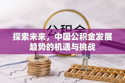 洛龙探索未来，中国公积金发展趋势的机遇与挑战
