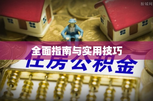 洛龙全面指南与实用技巧