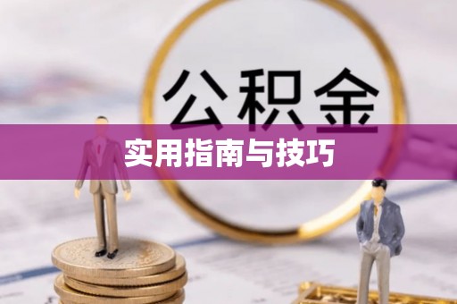 洛龙实用指南与技巧