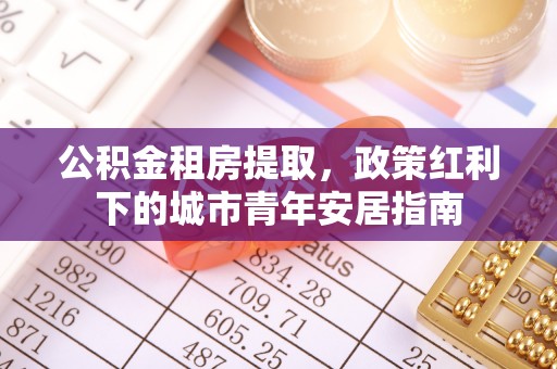 洛龙公积金租房提取，政策红利下的城市青年安居指南