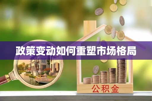 洛龙政策变动如何重塑市场格局