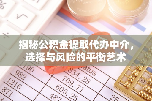 洛龙揭秘公积金提取代办中介，选择与风险的平衡艺术