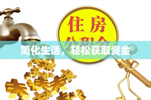 洛龙简化生活，轻松获取资金