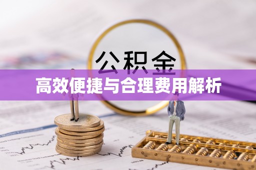 洛龙高效便捷与合理费用解析