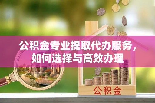 洛龙公积金专业提取代办服务，如何选择与高效办理