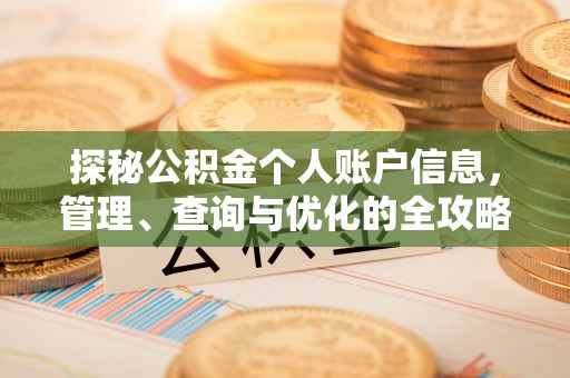 洛龙探秘公积金个人账户信息，管理、查询与优化的全攻略