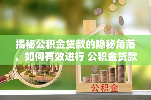 洛龙揭秘公积金贷款的隐秘角落，如何有效进行 公积金贷款风险防控