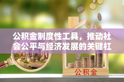 洛龙公积金制度性工具，推动社会公平与经济发展的关键杠杆