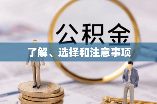 洛龙了解、选择和注意事项