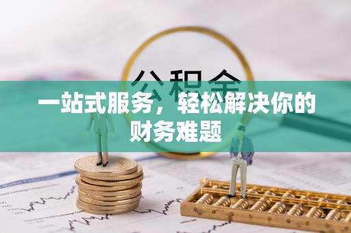 洛龙一站式服务，轻松解决你的财务难题