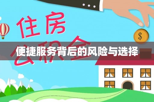 洛龙便捷服务背后的风险与选择