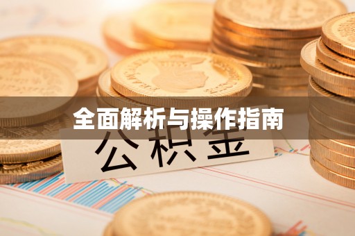洛龙全面解析与操作指南