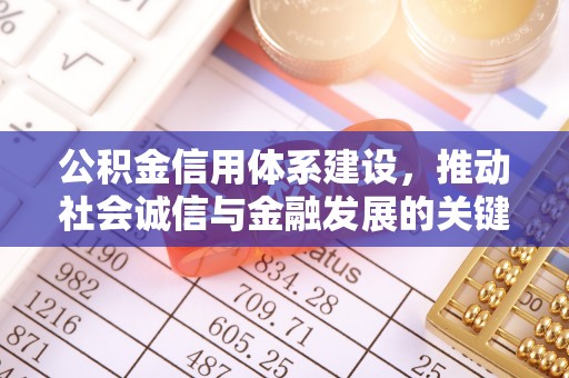 洛龙公积金信用体系建设，推动社会诚信与金融发展的关键桥梁