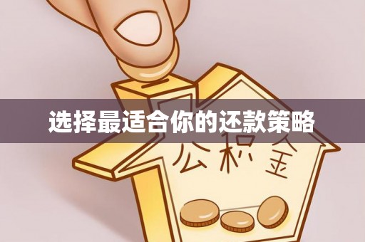洛龙选择最适合你的还款策略
