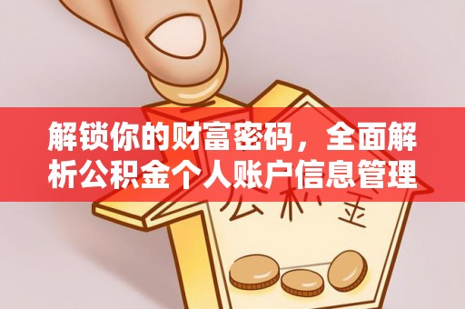 洛龙解锁你的财富密码，全面解析公积金个人账户信息管理与优化
