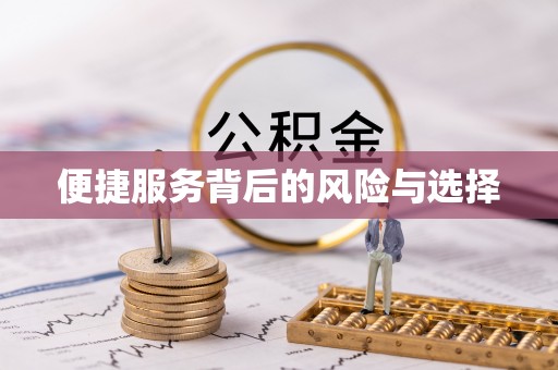 洛龙便捷服务背后的风险与选择