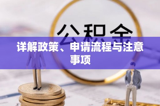 洛龙详解政策、申请流程与注意事项