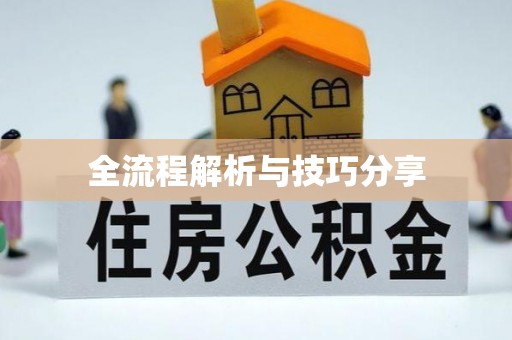 洛龙全流程解析与技巧分享