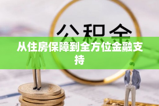 洛龙从住房保障到全方位金融支持