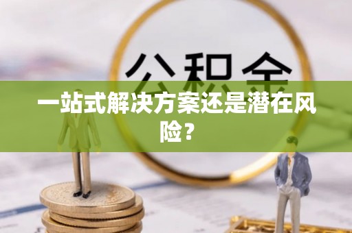 洛龙一站式解决方案还是潜在风险？